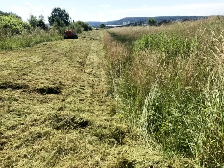 Entretien Fauchage Broyage Vesoul 70