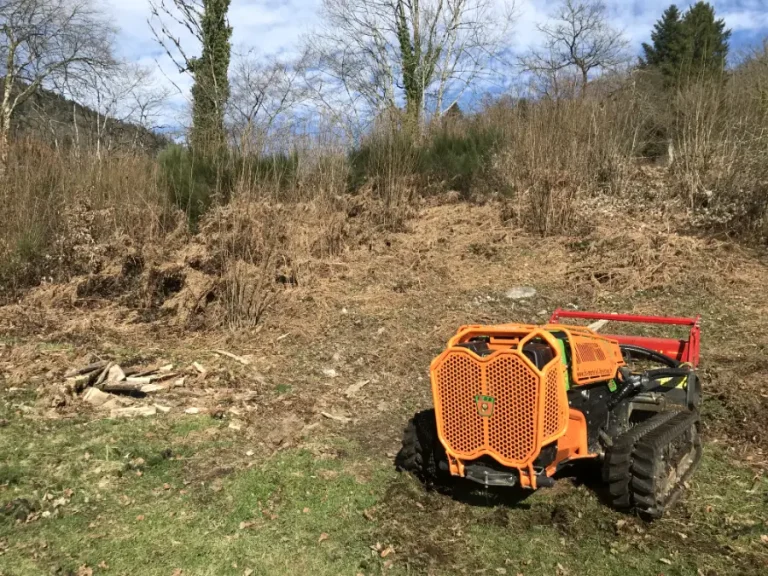Entretien Roncier Fedrupt Vosges