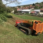 Entretien Roncier Vallerois 70 Pendant Fauchage