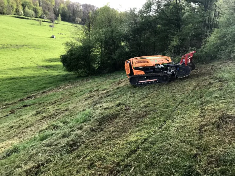 Resultat Elimination Roncier Vallerois 0 Fauchage