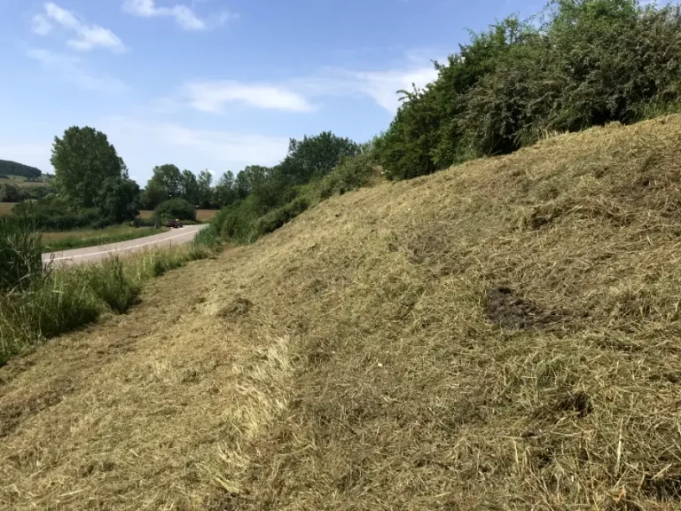Terrain Pente Parfaitement Nettoye Vesoul 70